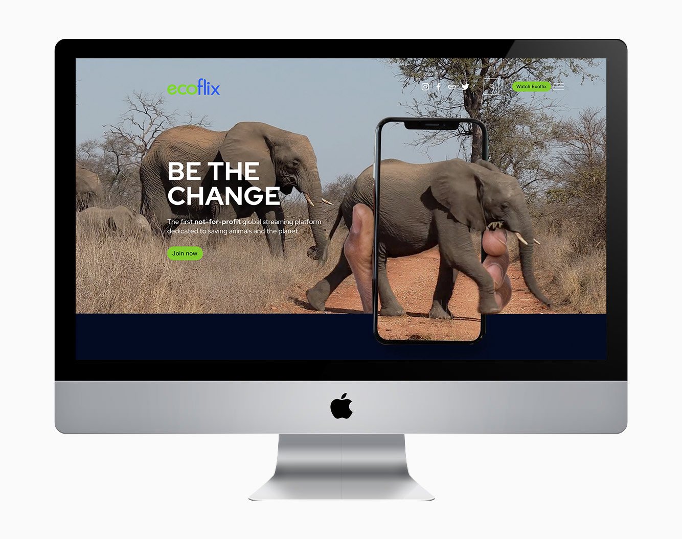 Home Page_Elephants
