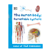 Human Body Remarkable Systems