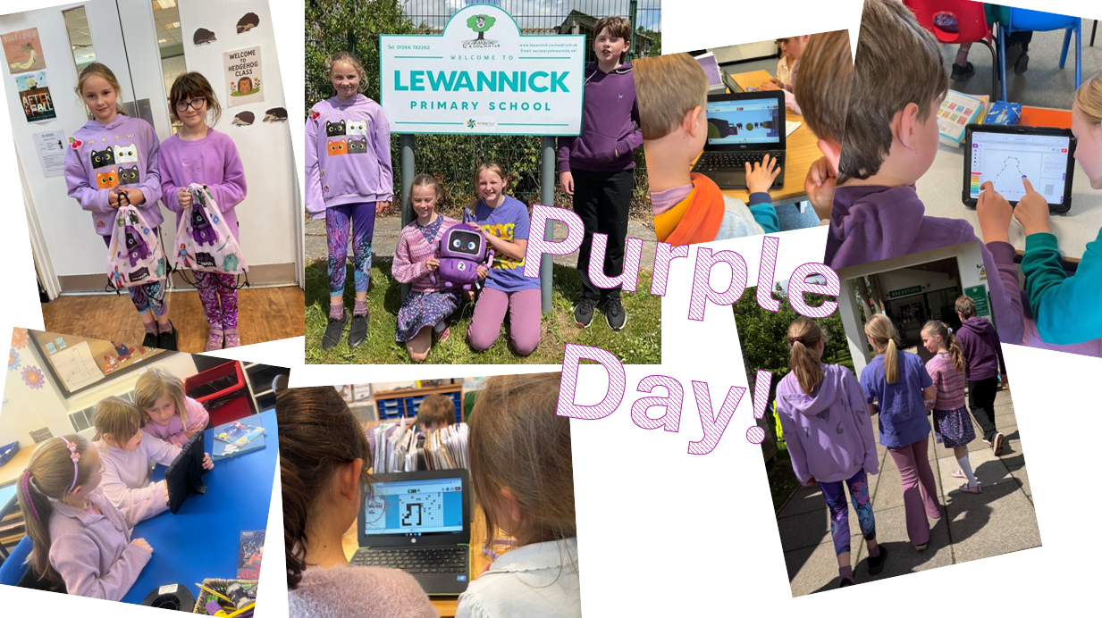 Lewannick School Purple Day