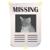 Lost Cat.png