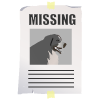 Lost Dog.png