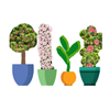 Plant Pots