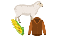 Plants & Animals Uses