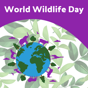 World Wildlife Day blog