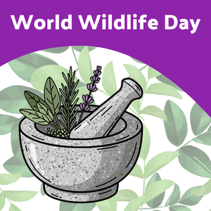 World Wildlife Day plants blog
