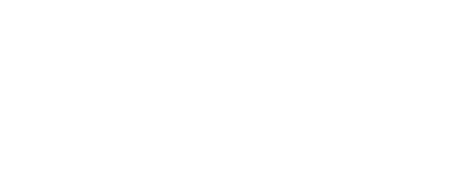 Cyber Essentials Plus logo