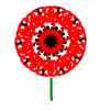 remembrance poppy.png