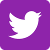 Twitter icon purple